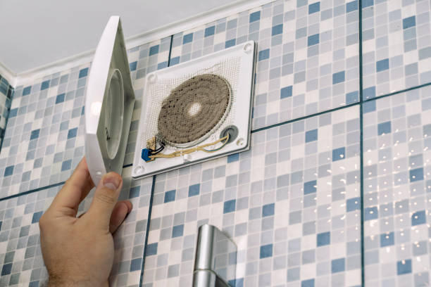 Best Emergency Air Duct Cleaning  in Coker, AL