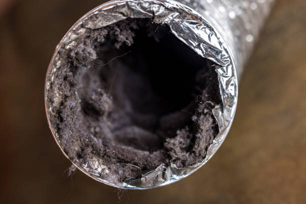 Best Best Air Duct Cleaning Near Me  in Coker, AL