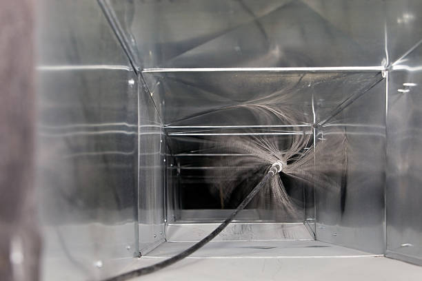 Best Professional Duct Cleaning Services  in Coker, AL