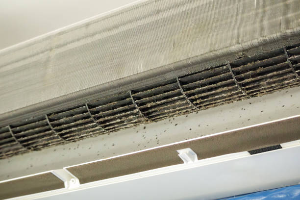 Best Air Duct Cleaning Near Me in Coker, AL